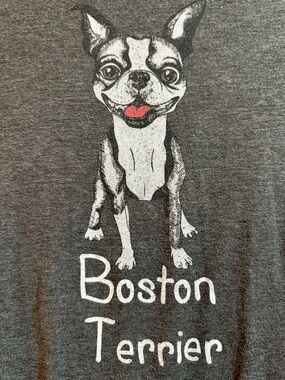 Boston Terrier Smiling Grey T-shirt Size L
